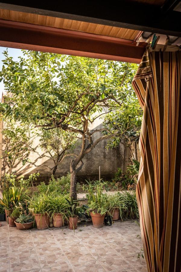 Musei Sa Domu De Ladiri - Matrimoniale Con Giardino Bed & Breakfast エクステリア 写真