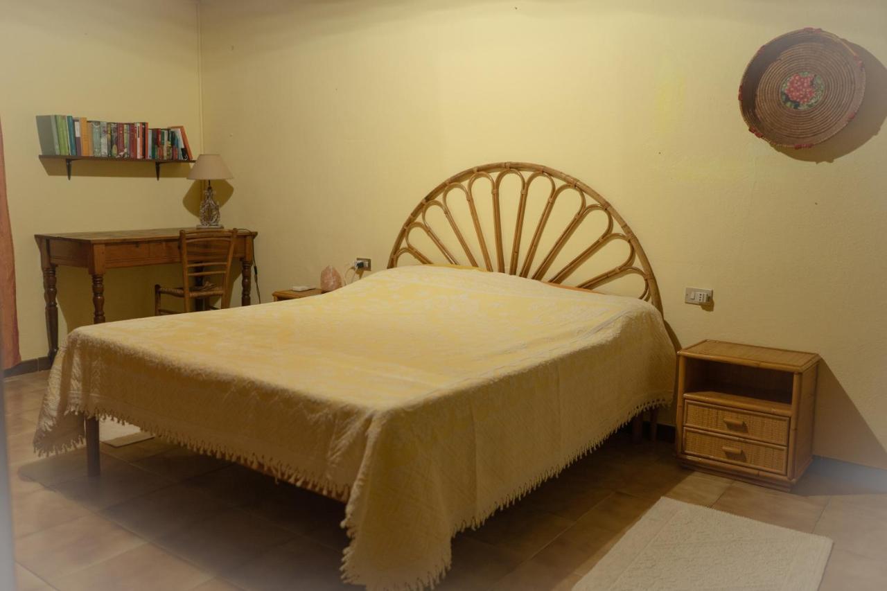 Musei Sa Domu De Ladiri - Matrimoniale Con Giardino Bed & Breakfast エクステリア 写真