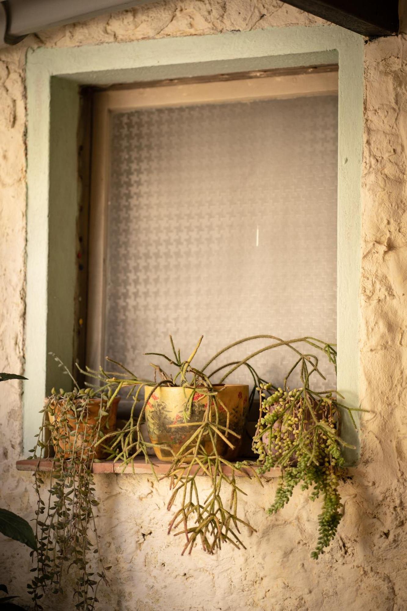 Musei Sa Domu De Ladiri - Matrimoniale Con Giardino Bed & Breakfast エクステリア 写真